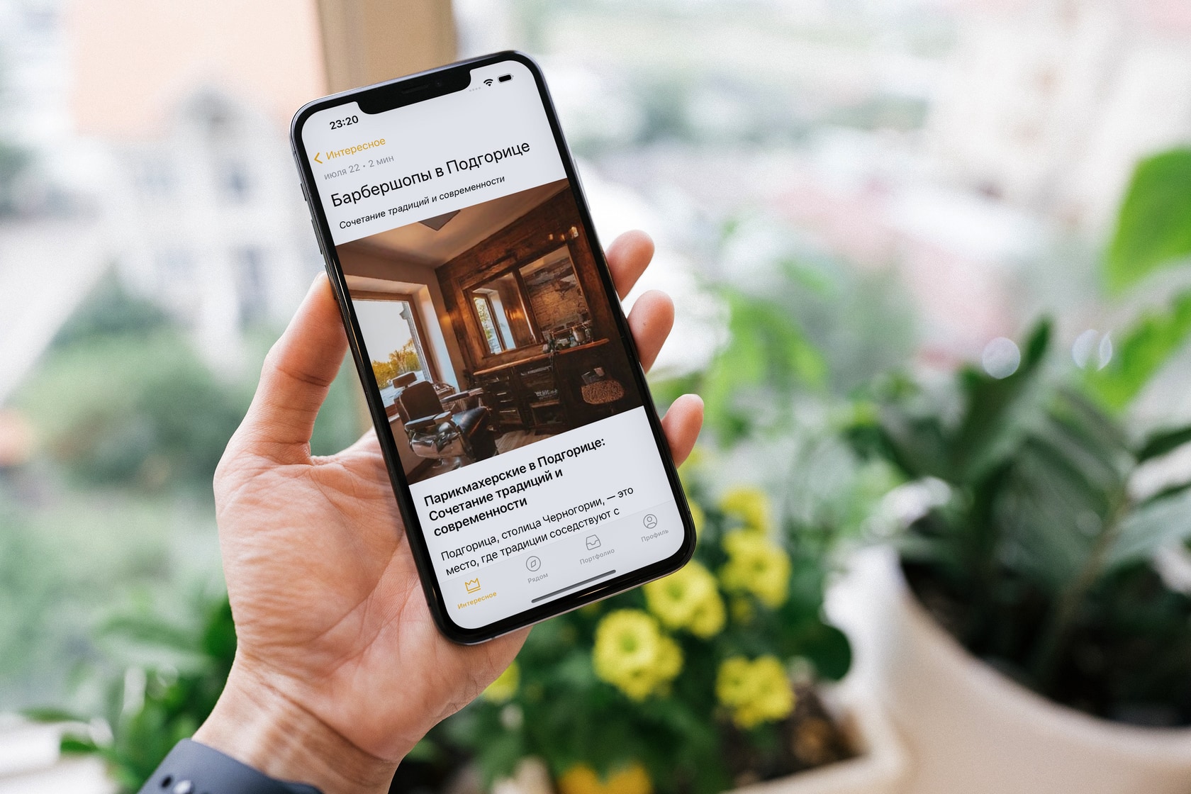 Скриншоты MonteGo.life